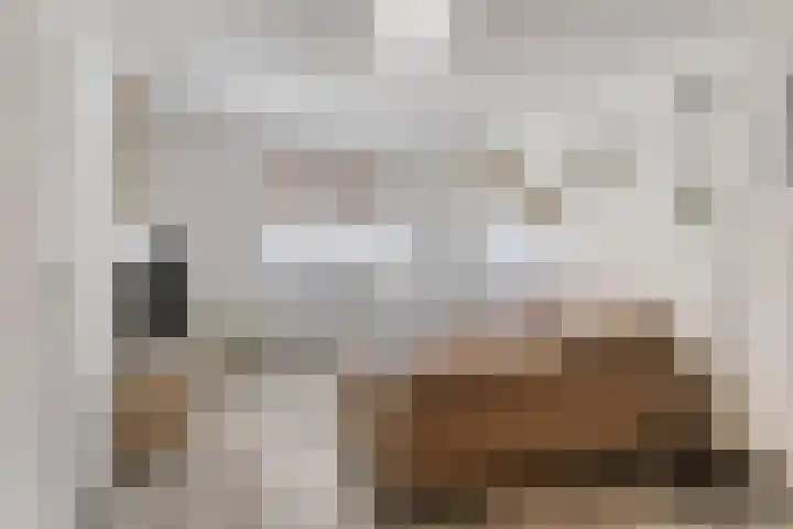 Diepenbrockstraat 24 Eindhoven thumbnail 8