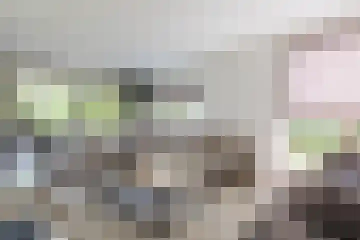Diepenbrockstraat 24 Raamsdonksveer thumbnail 11