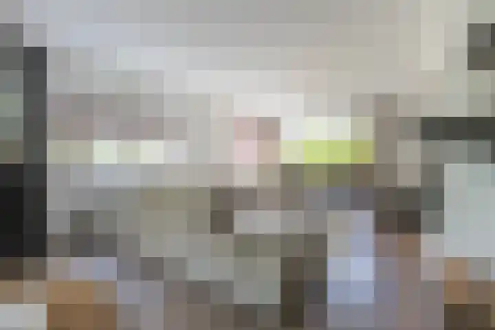 Diepenbrockstraat 24 Raamsdonksveer thumbnail 12