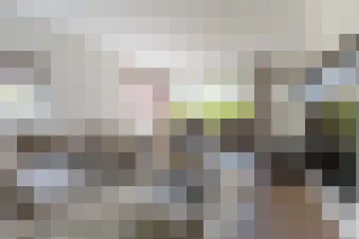 Diepenbrockstraat 24 Raamsdonksveer thumbnail 15