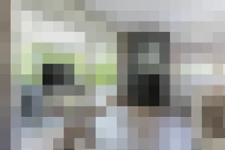 Diepenbrockstraat 24 Raamsdonksveer thumbnail 16