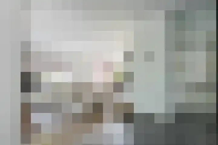 Diepenbrockstraat 24 Raamsdonksveer thumbnail 17