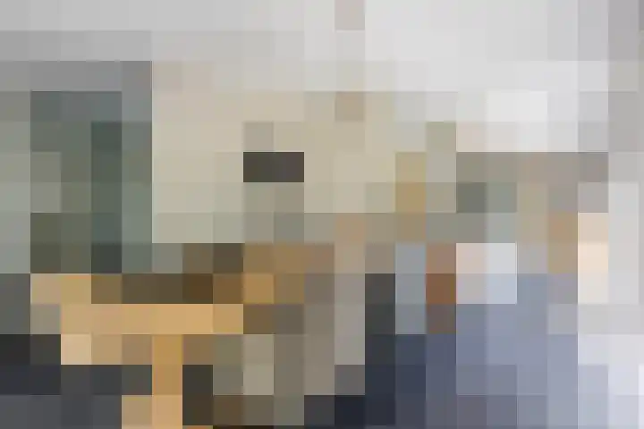 Diepenbrockstraat 24 Raamsdonksveer thumbnail 20