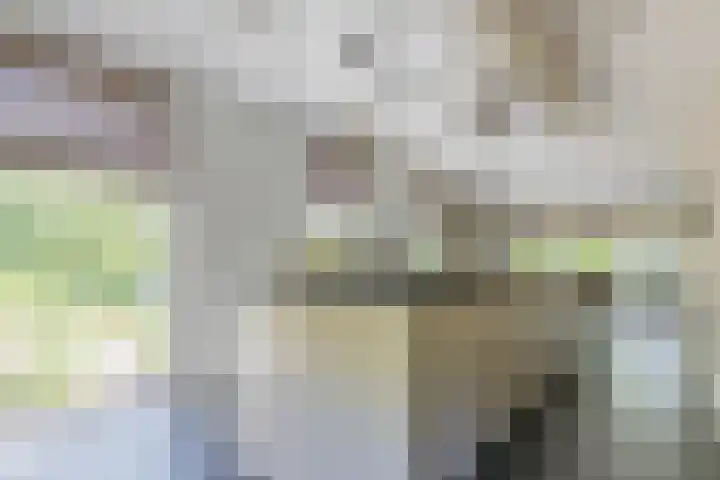Diepenbrockstraat 24 Raamsdonksveer thumbnail 23