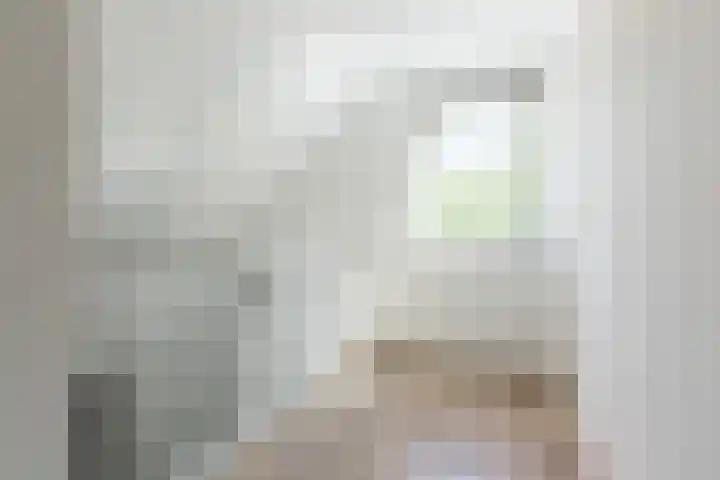 Diepenbrockstraat 24 Raamsdonksveer thumbnail 31