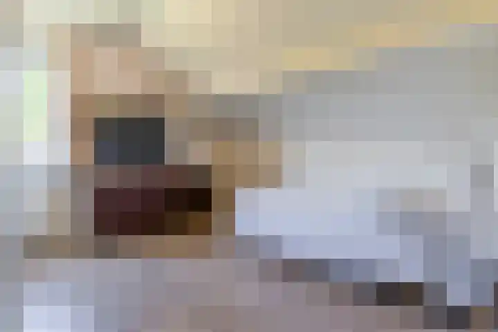 Diepenbrockstraat 24 Raamsdonksveer thumbnail 32