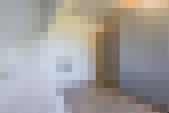 Diepenbrockstraat 24 Raamsdonksveer thumbnail 33