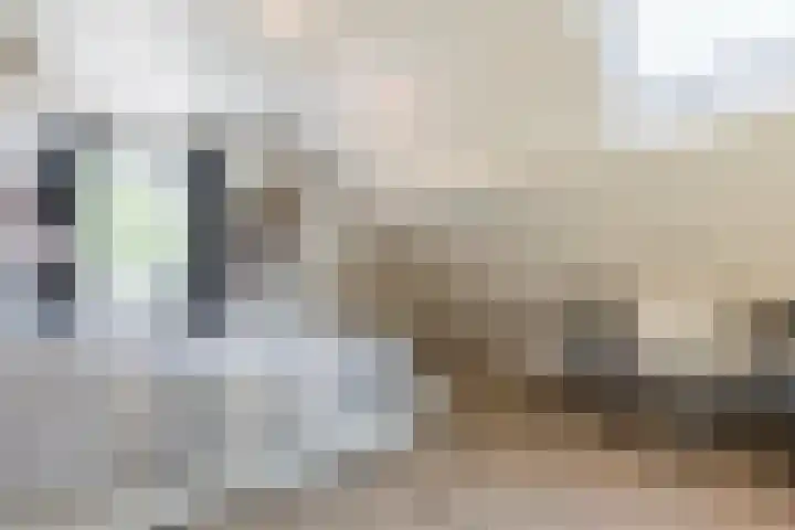 Diepenbrockstraat 24 Raamsdonksveer thumbnail 34