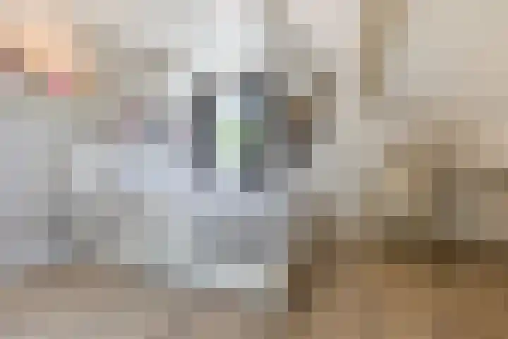 Diepenbrockstraat 24 Raamsdonksveer thumbnail 35