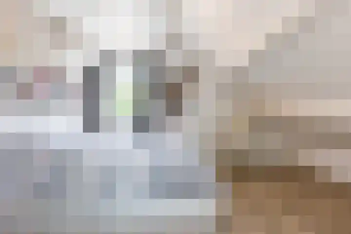 Diepenbrockstraat 24 Raamsdonksveer thumbnail 36