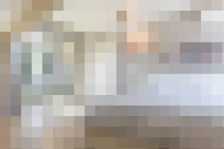 Diepenbrockstraat 24 Raamsdonksveer thumbnail 37