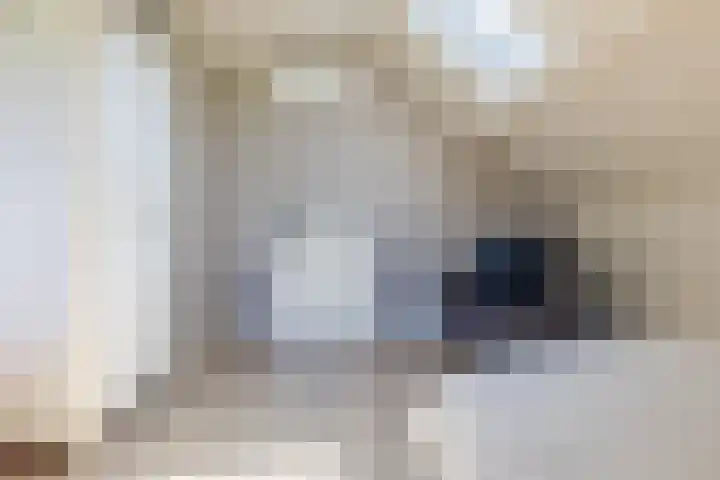Diepenbrockstraat 24 Raamsdonksveer thumbnail 38