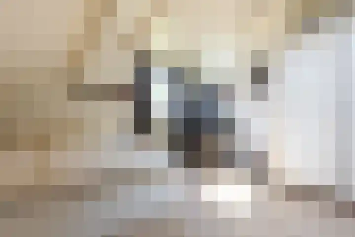 Diepenbrockstraat 24 Raamsdonksveer thumbnail 39