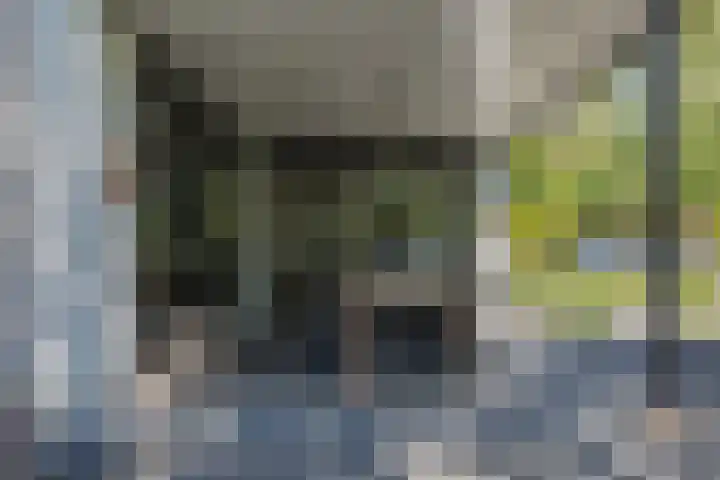 Diepenbrockstraat 24 Raamsdonksveer thumbnail 46