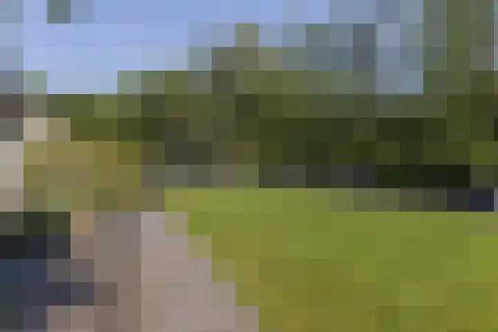Diepenbrockstraat 24 Raamsdonksveer thumbnail 48