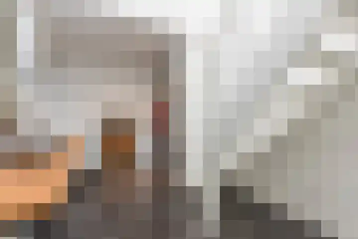 Diepenbrockstraat 24 Raamsdonksveer thumbnail 7