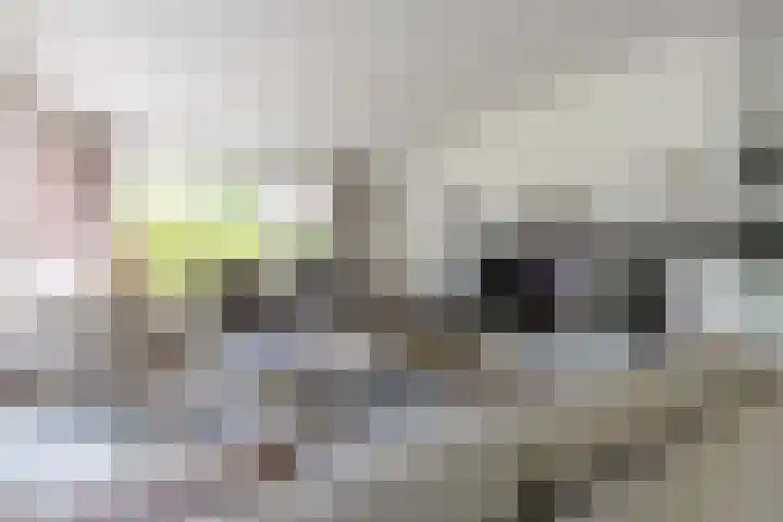 Diepenbrockstraat 24 Raamsdonksveer thumbnail 9