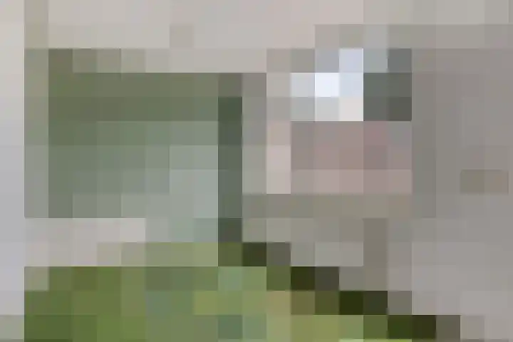 Diepenbrockstraat 29 Eindhoven thumbnail 11