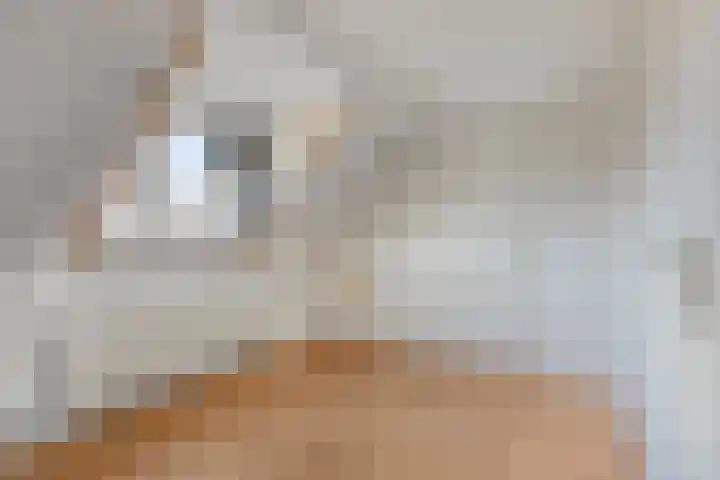 Diepenbrockstraat 29 Eindhoven thumbnail 23