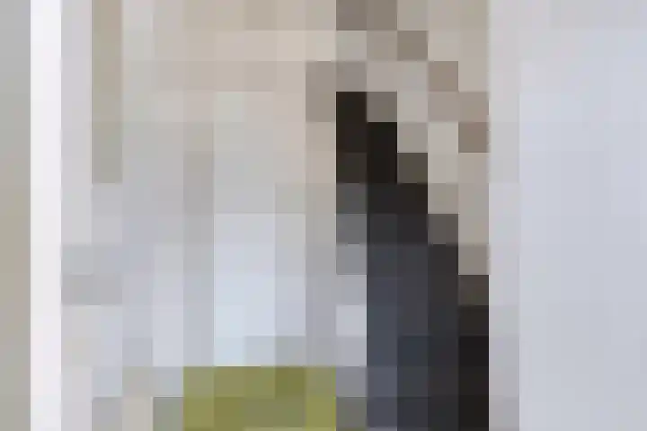 Diepenbrockstraat 29 Eindhoven thumbnail 4