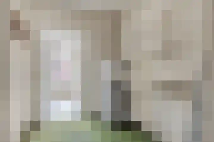 Diepenbrockstraat 29 Eindhoven thumbnail 9