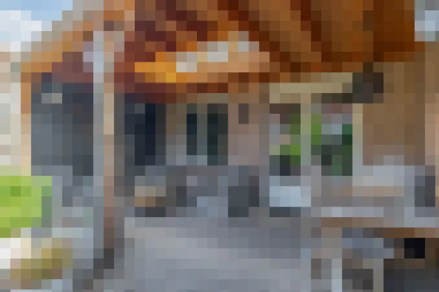 Diepenbrockstraat 30 Schijndel thumbnail 23