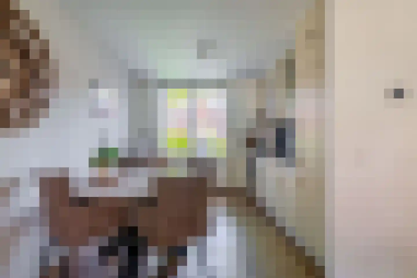 Diepenbrockstraat 30 Schijndel thumbnail 7