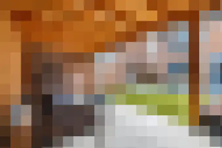 Diepenbrockstraat 32 Almelo thumbnail 29