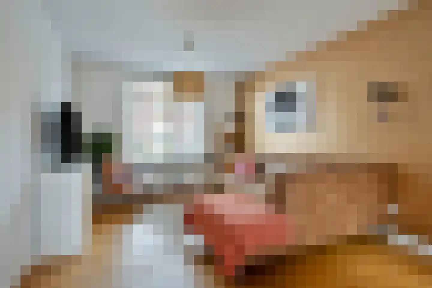 Diepenbrockstraat 33 Eindhoven thumbnail 12