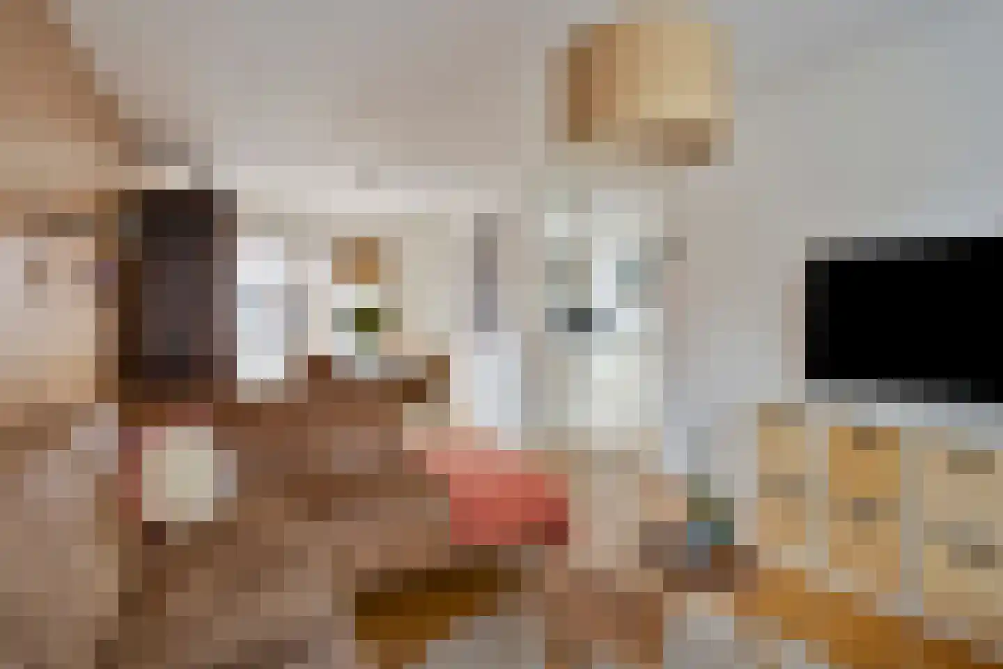 Diepenbrockstraat 33 Eindhoven thumbnail 13
