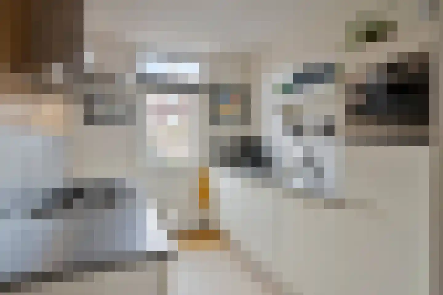 Diepenbrockstraat 33 Eindhoven thumbnail 16