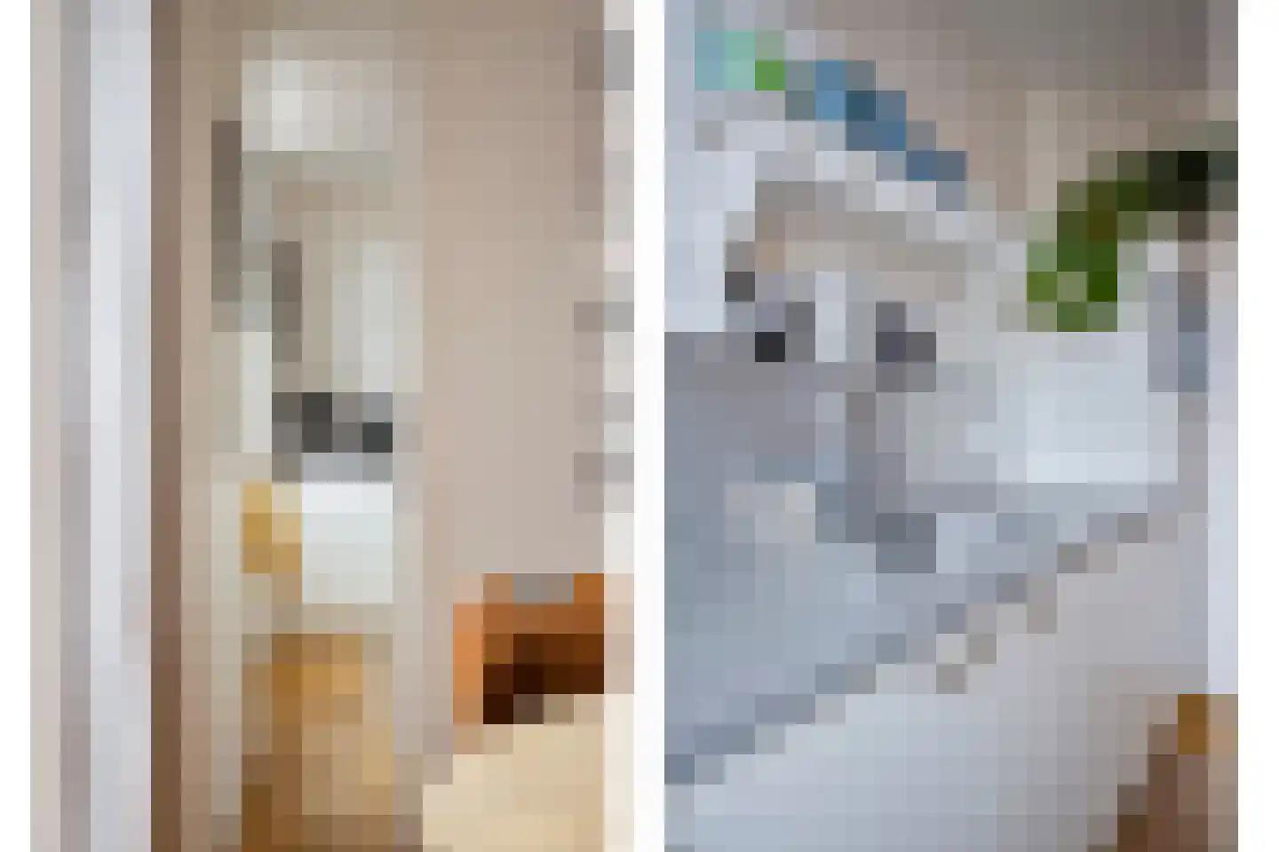 Diepenbrockstraat 33 Eindhoven thumbnail 18