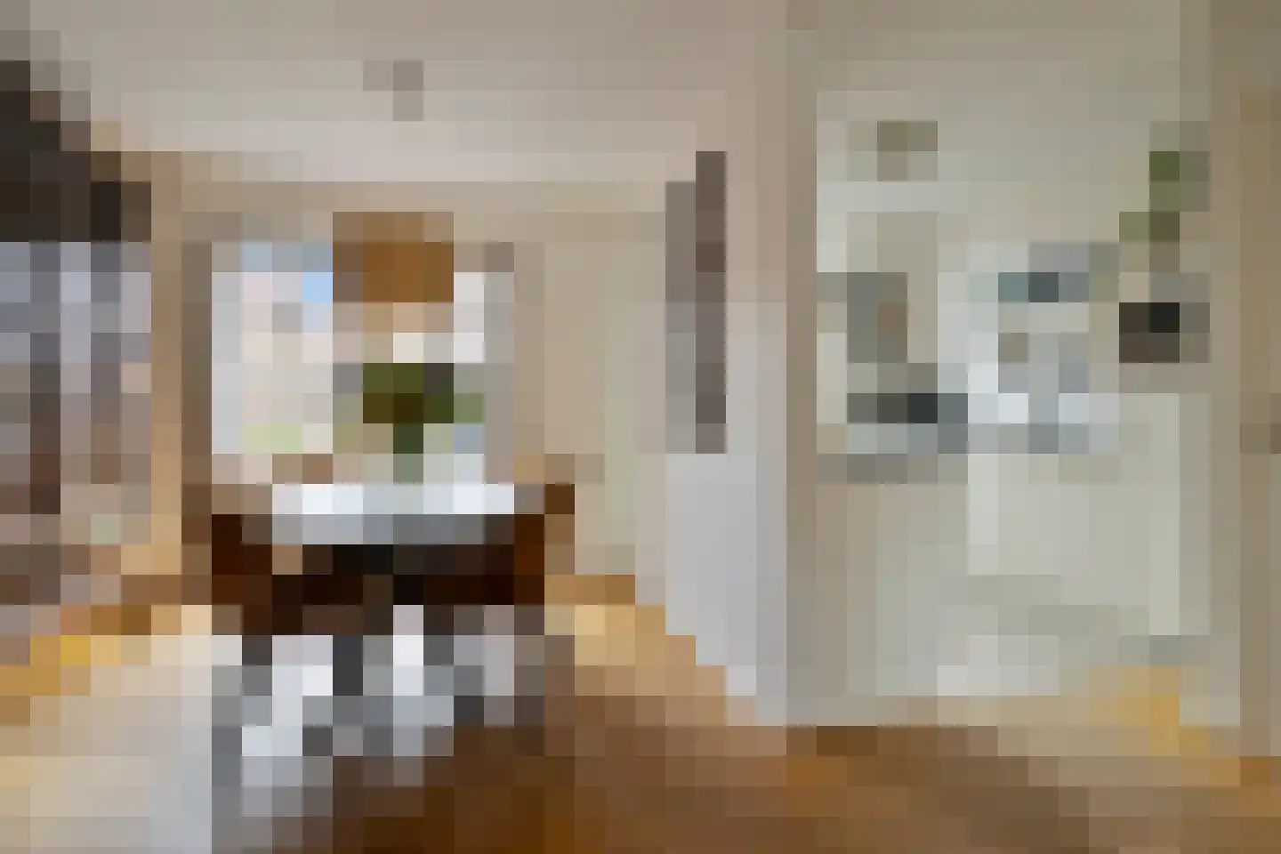 Diepenbrockstraat 33 Eindhoven thumbnail 19