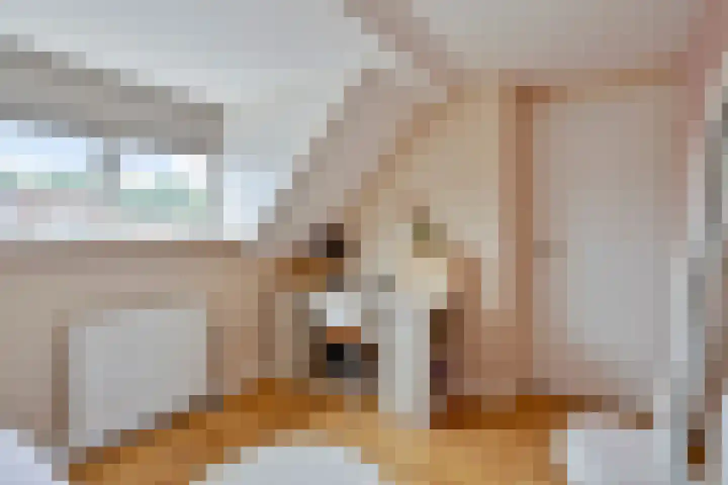 Diepenbrockstraat 33 Eindhoven thumbnail 28