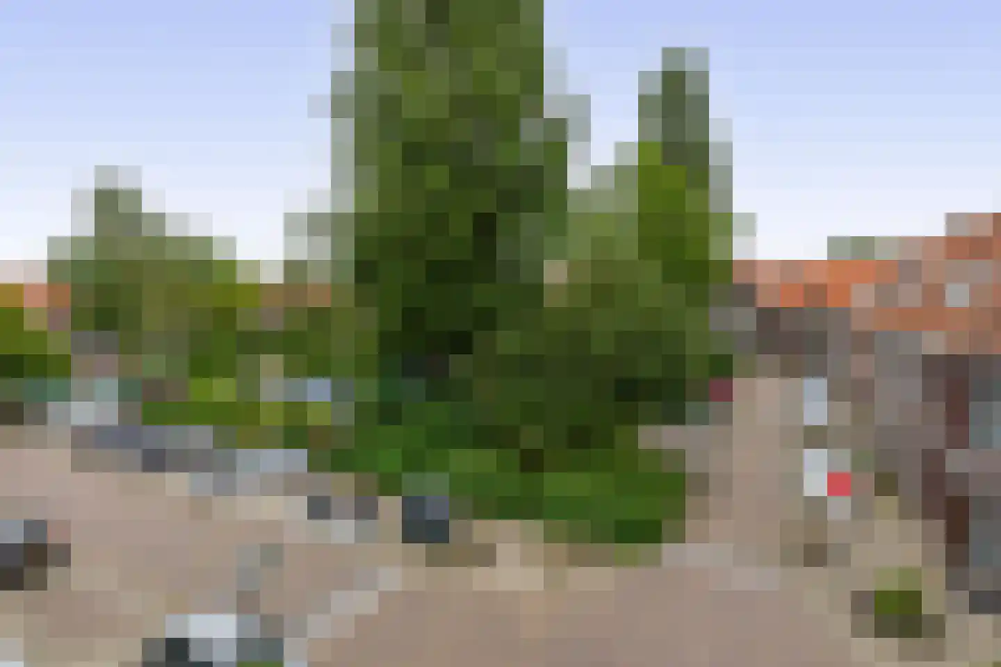 Diepenbrockstraat 37 Vlaardingen thumbnail 34