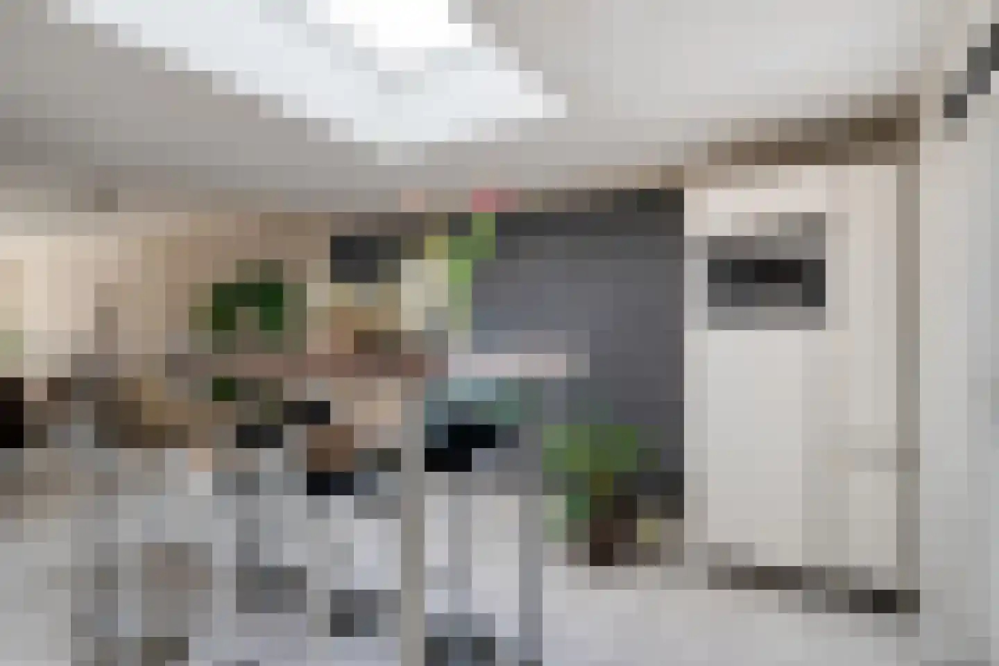 Diepenbrockstraat 4 Eindhoven thumbnail 18