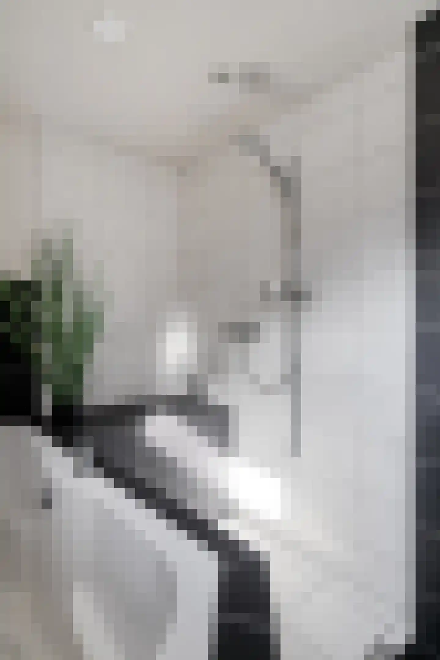 Diepenbrockstraat 4 Eindhoven thumbnail 22