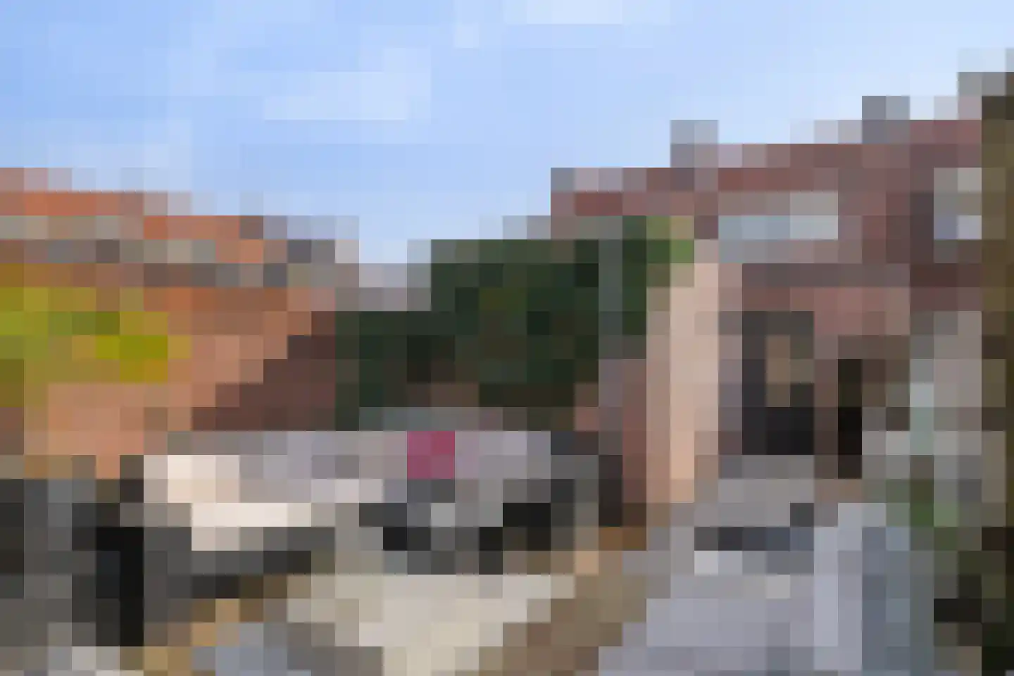 Diepenbrockstraat 4 Eindhoven thumbnail 33