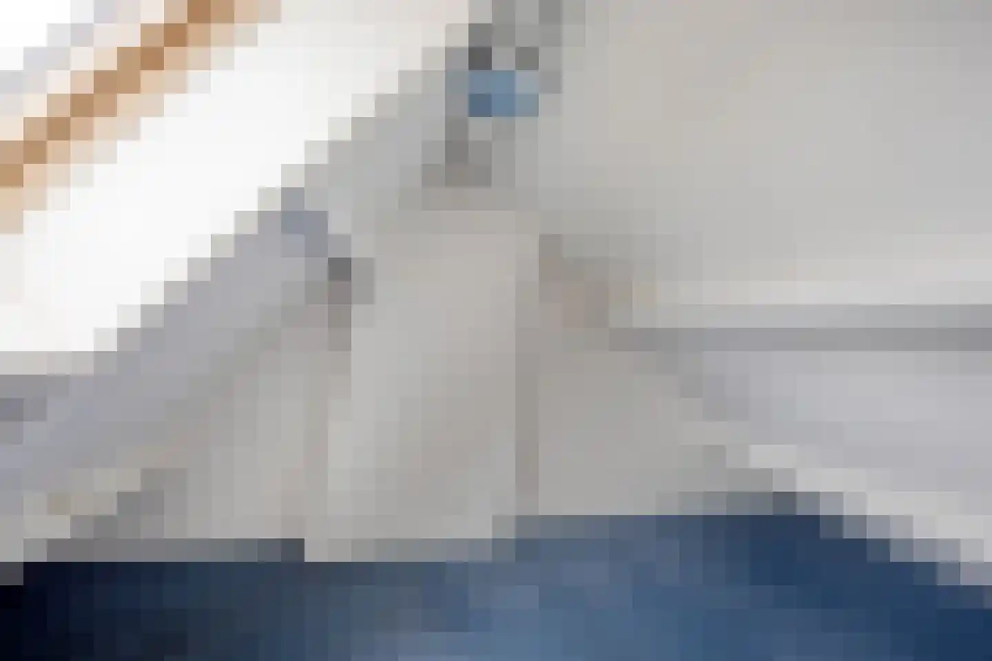 Diepenbrockstraat 42 Eindhoven thumbnail 19