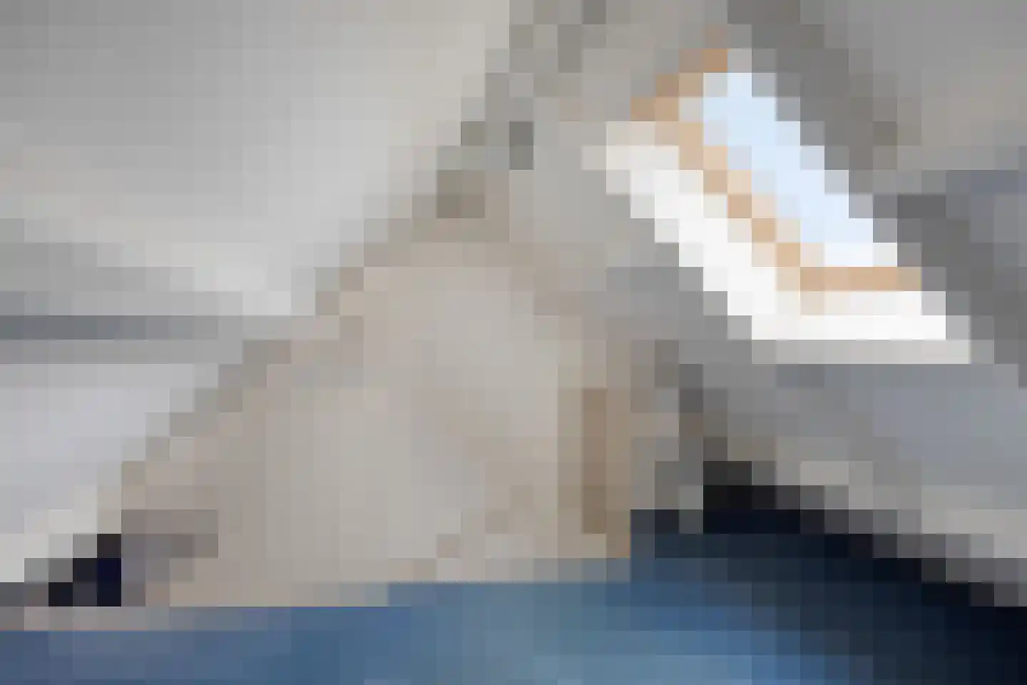 Diepenbrockstraat 42 Eindhoven thumbnail 20