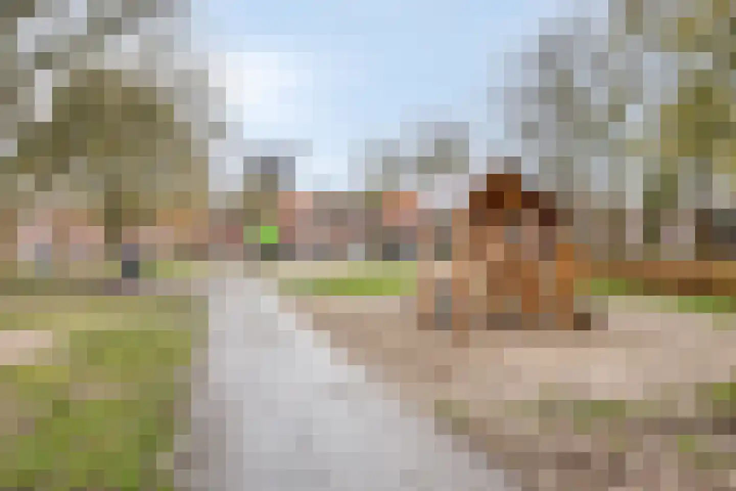 Diepenbrockstraat 42 Eindhoven thumbnail 29