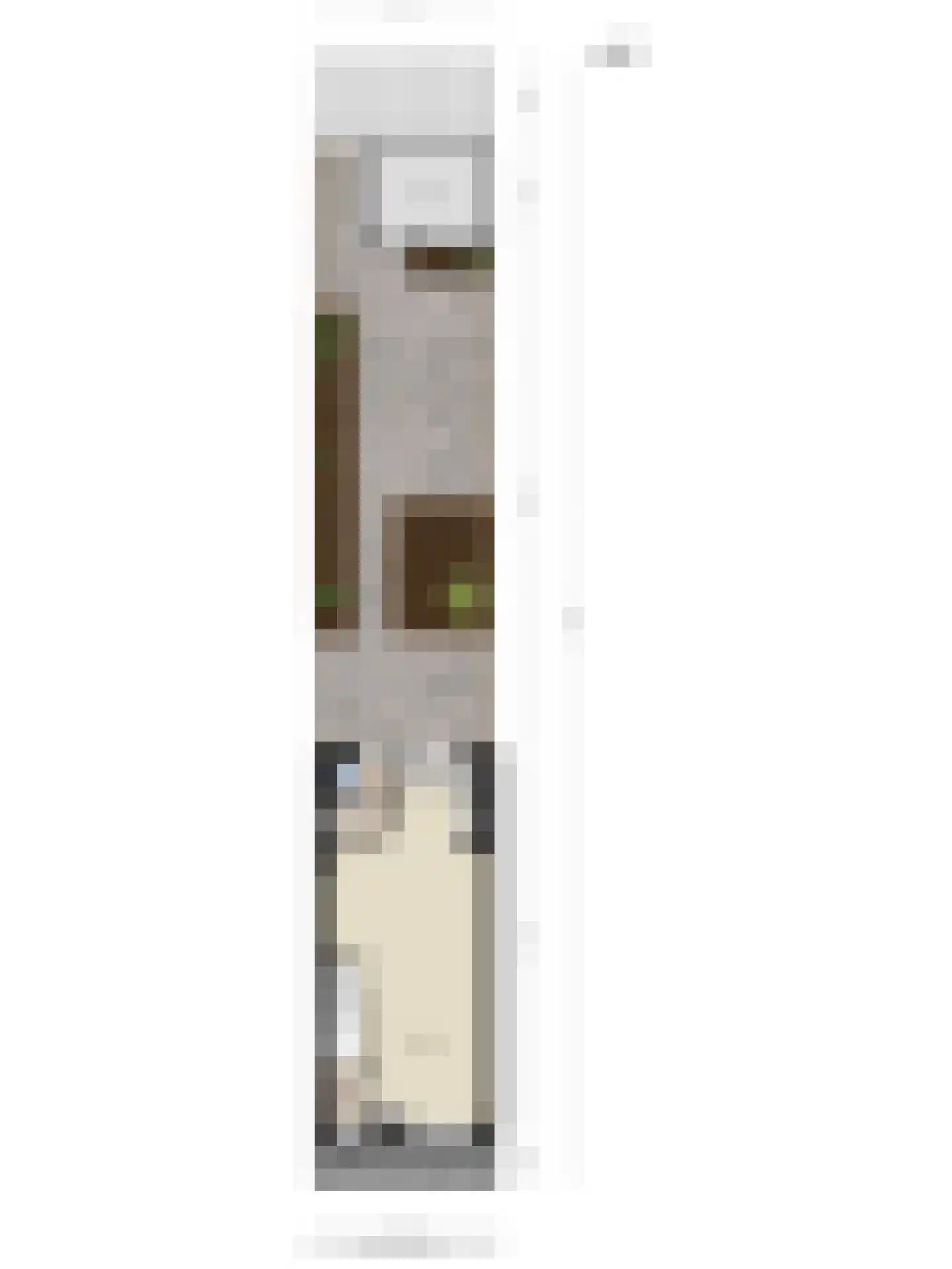 Diepenbrockstraat 42 Eindhoven thumbnail 32