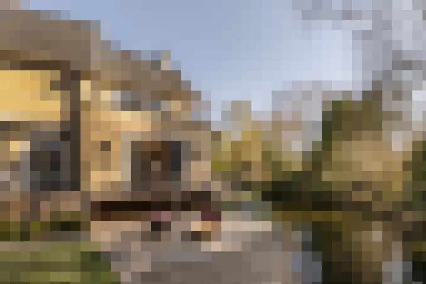 Diepenbrockstraat 5 in Amsterdam