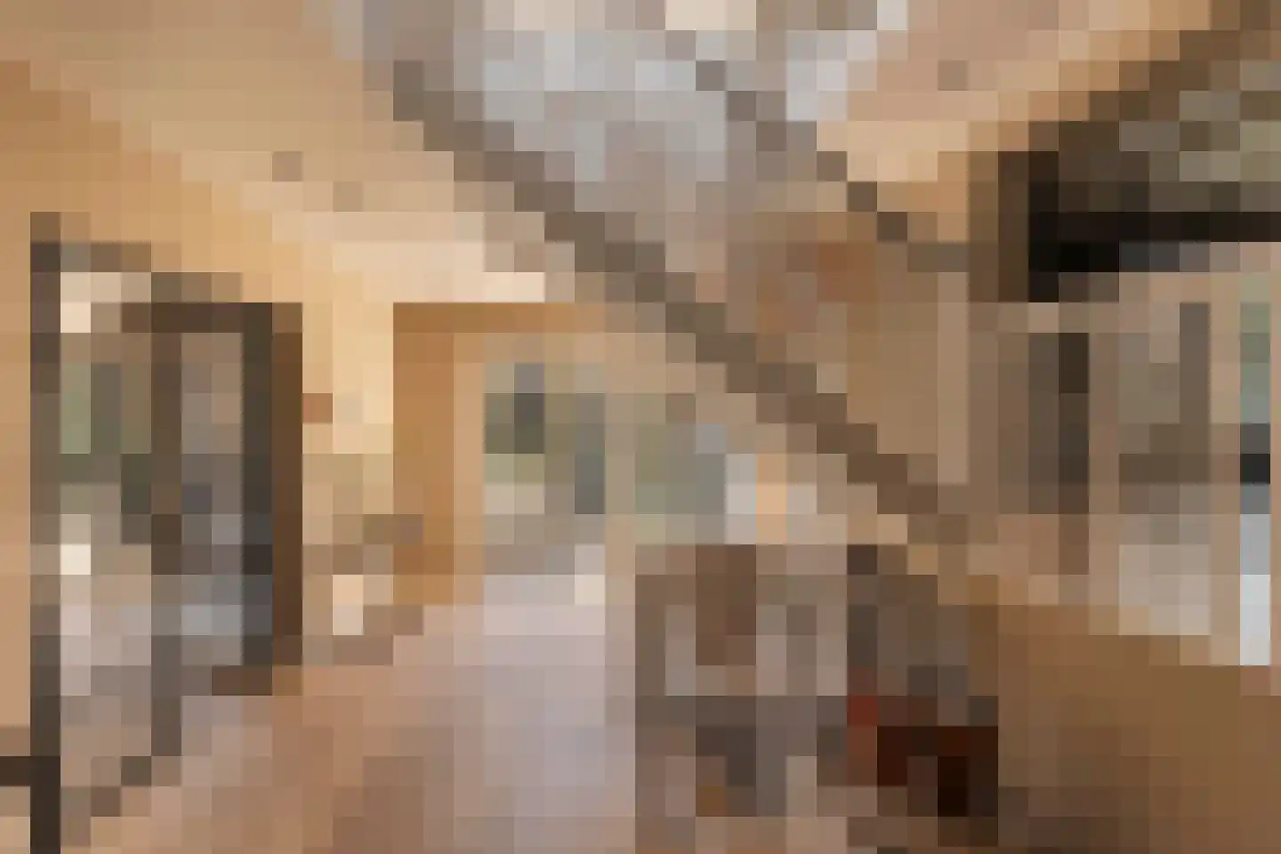 Diepenbrockstraat 5 Amsterdam thumbnail 6