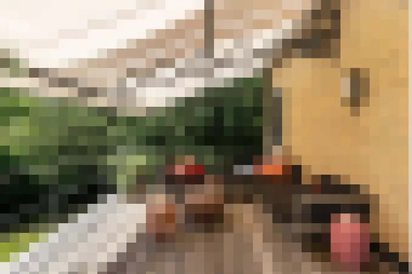 Diepenbrockstraat 5 Amsterdam thumbnail 9