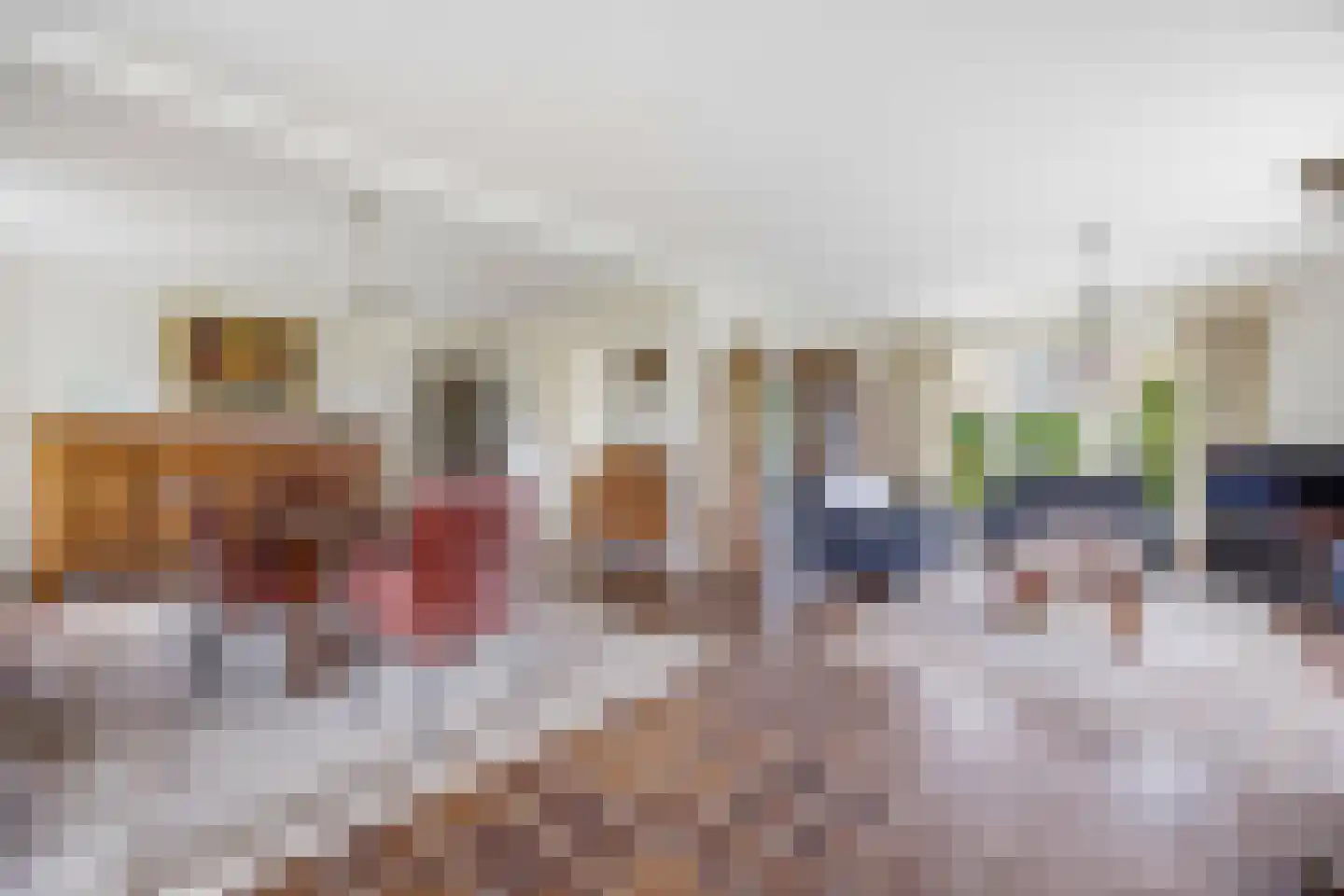 Diepenbrockstraat 5 Raamsdonksveer thumbnail 16