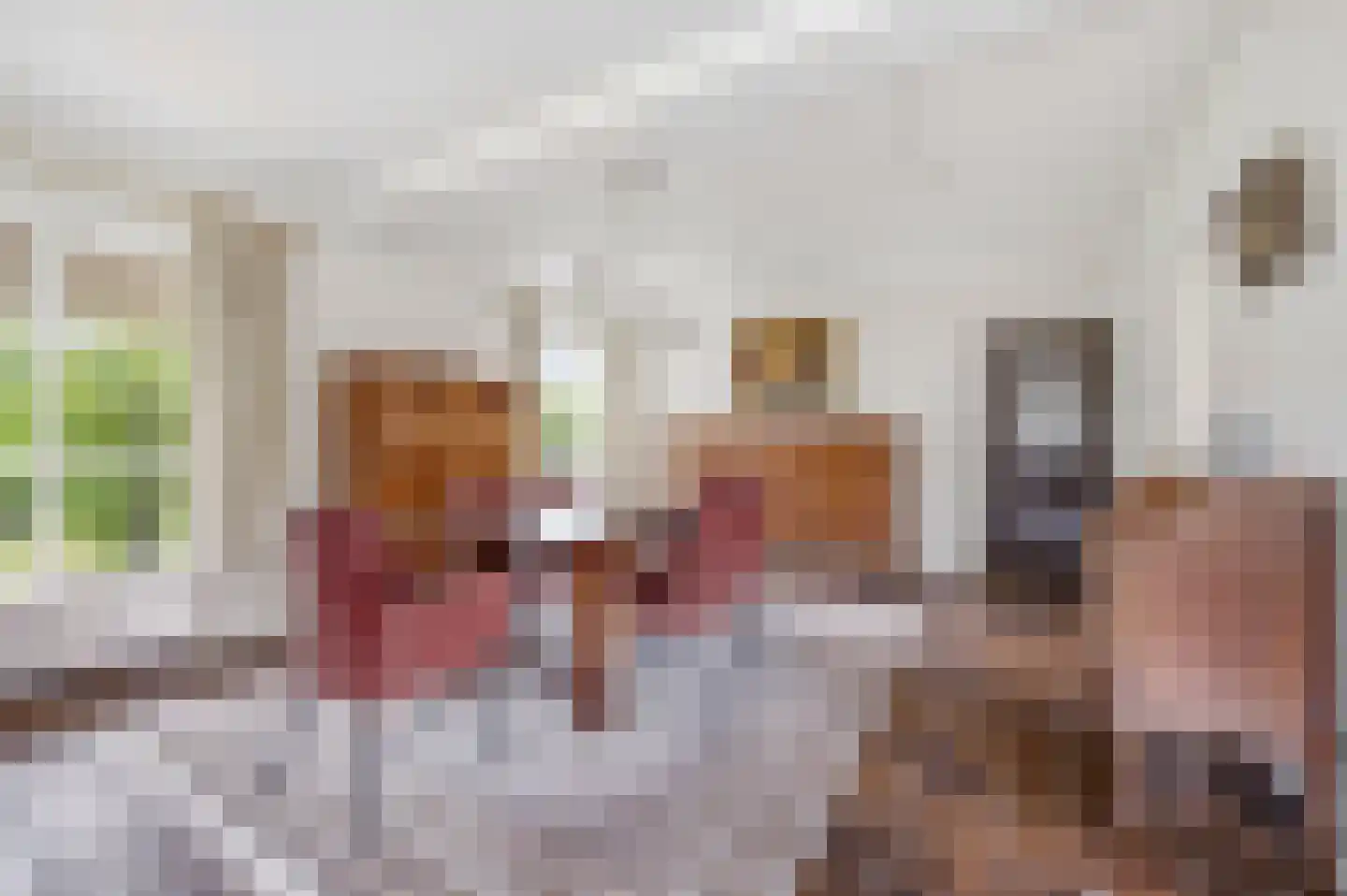 Diepenbrockstraat 5 Raamsdonksveer thumbnail 18