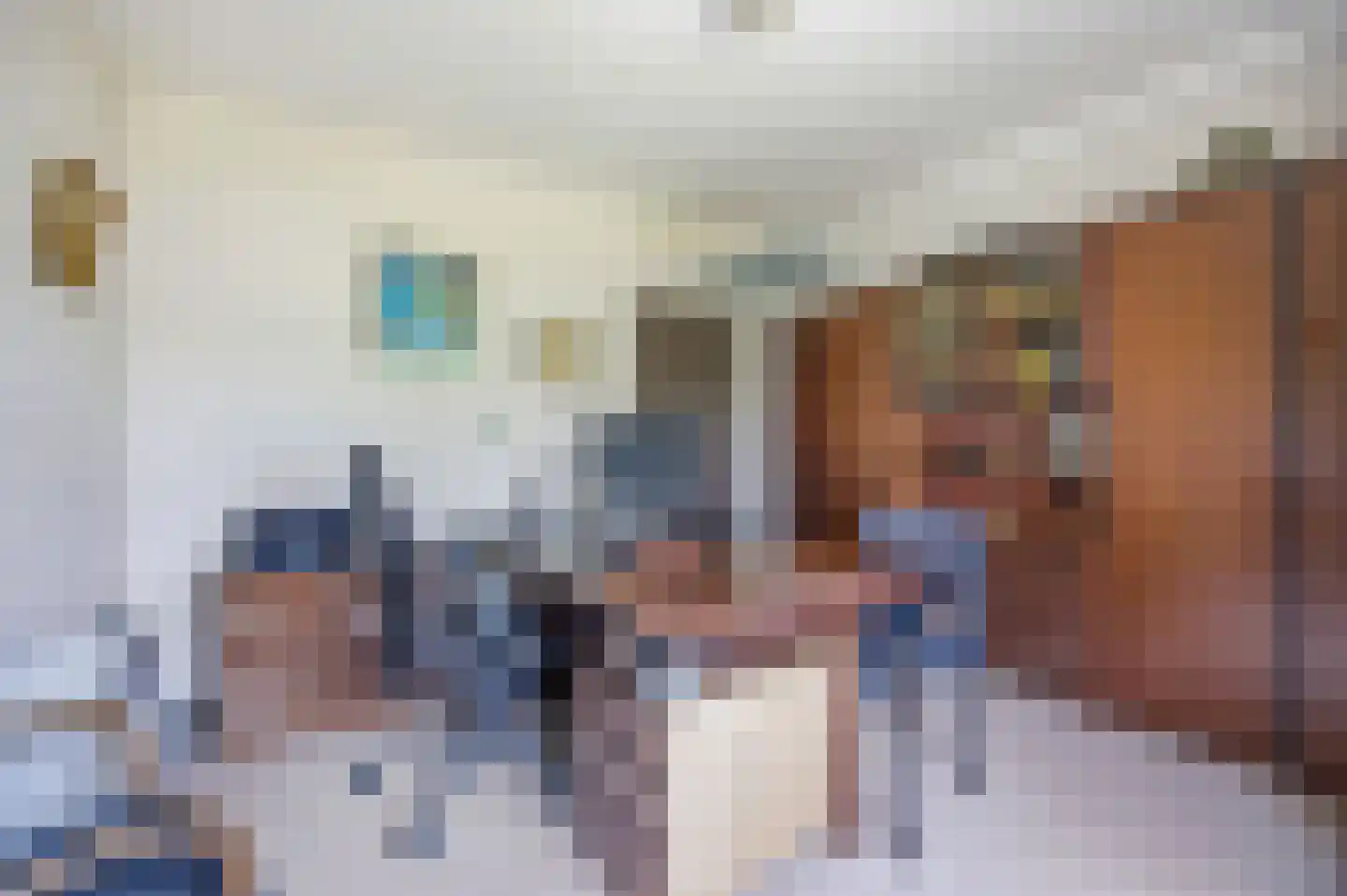 Diepenbrockstraat 5 Raamsdonksveer thumbnail 23