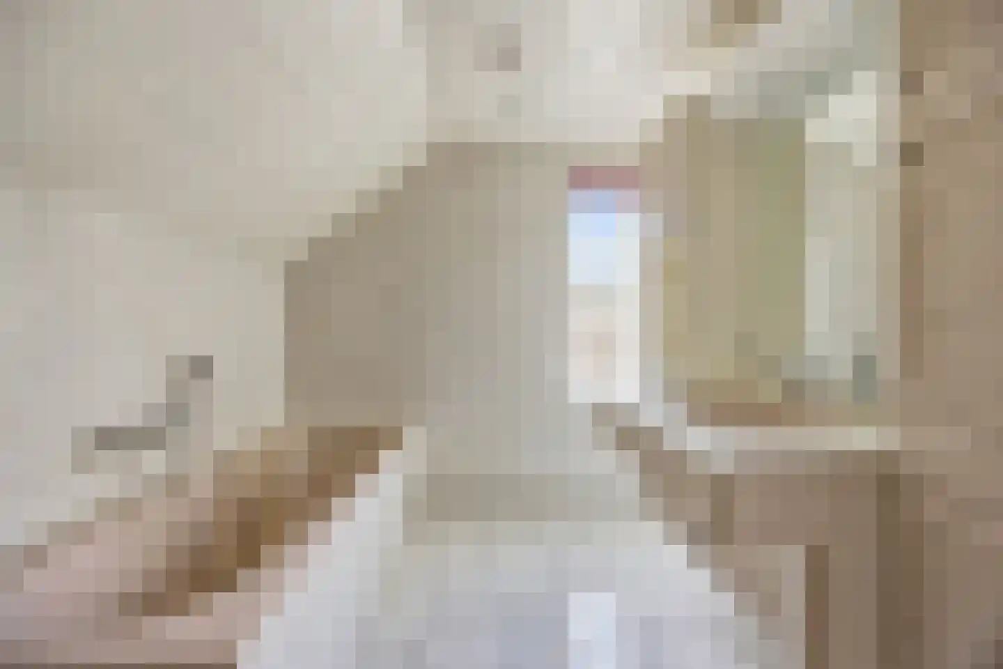 Diepenbrockstraat 5 Raamsdonksveer thumbnail 37