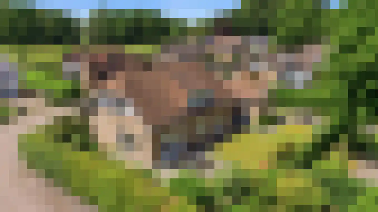 Diepenbrockstraat 5 Raamsdonksveer thumbnail 38